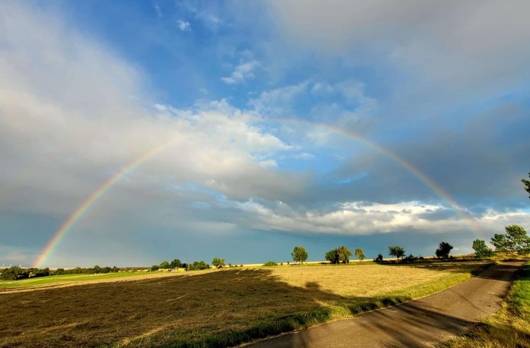 Regenbogen